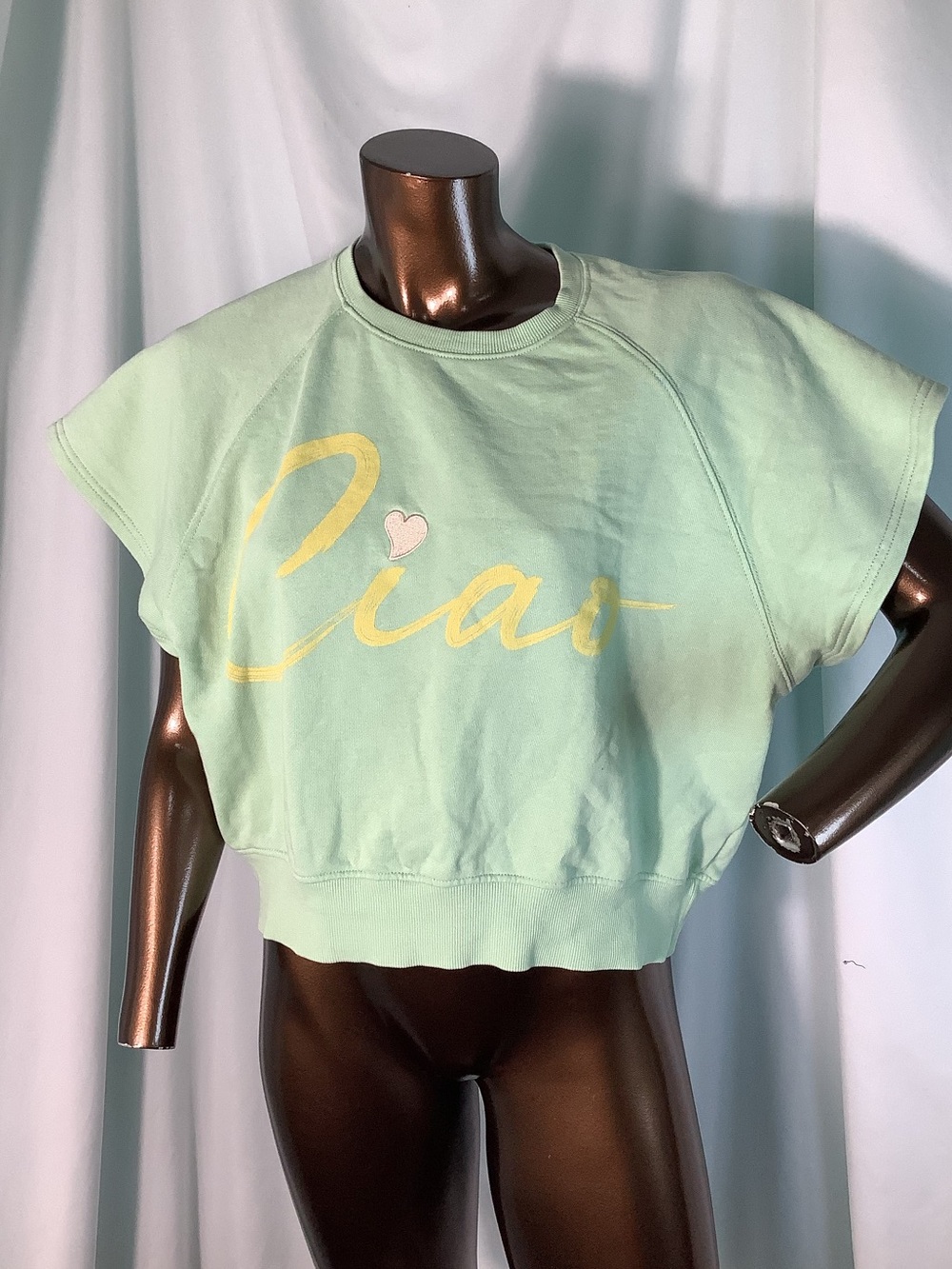 Vinyl Icons Ciao cropped Bocer Sweatshirt - Large